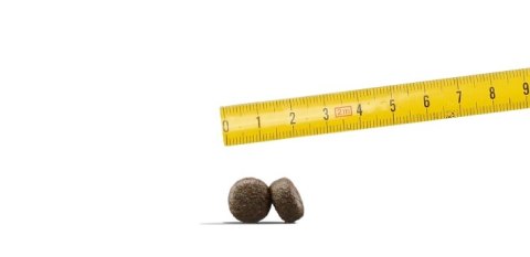 Josera Light & Vital 900g