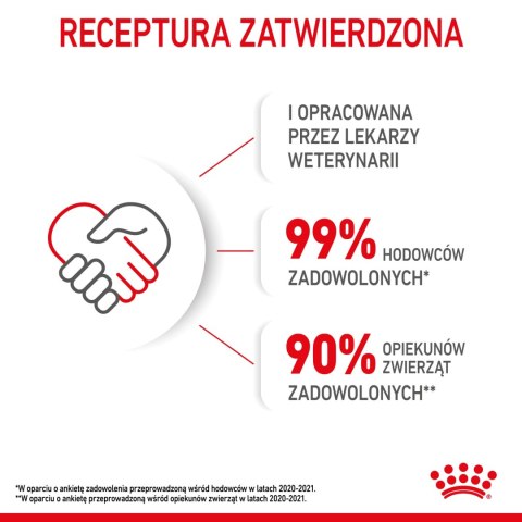 ROYAL CANIN Kitten Pasztet 12x85g