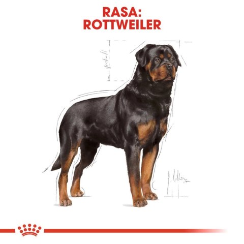 ROYAL CANIN Rottweiler Adult 12kg