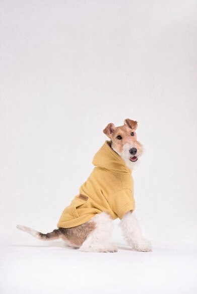 AMIPLAY Bluza Z Kapturem Texas Zielona 50cm