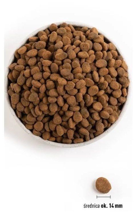 ORIJEN Tundra Dog 6kg