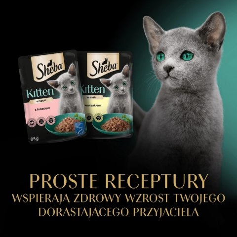 Sheba Kitten Wybór Smaków W Sosie Karma Dla Kociąt 40x85g