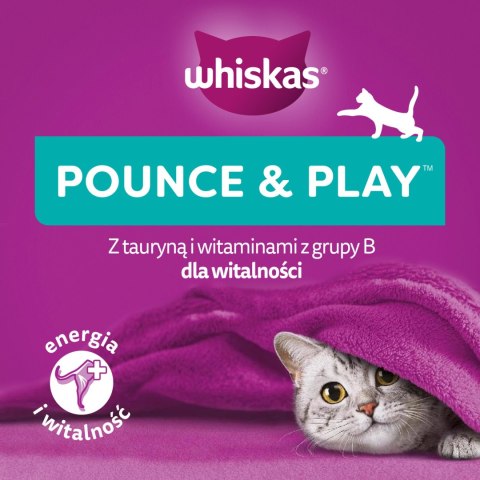 Whiskas Energia I Witalność Przysmak Dla Kota Z Kurczakiem 45g