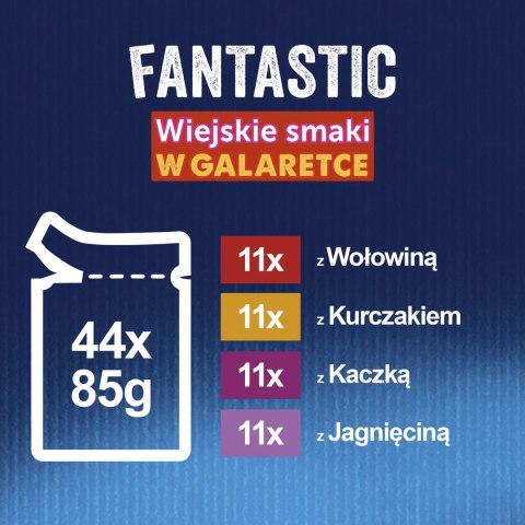 Felix Fantastic Mix Smaków W Galaretce Karma Dla Kota 44x85g