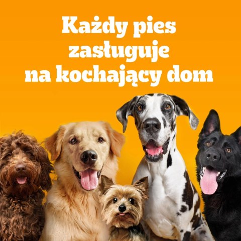 Pedigree Adult Professional Nutrition Drób Warzywa 12kg