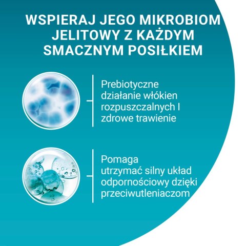 Purina One Adult Karma Dla Kota Z Kurczakiem I Zieloną Fasolką 85g
