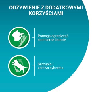 Purina One Indoor Formula Karma Dla Kota Z Tuńczykiem I Zieloną Fasolką 85g