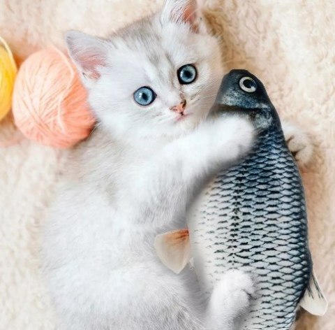 Zabawka Dla Kota Pluszowa Ryba Z Kocimiętką 21 Cm