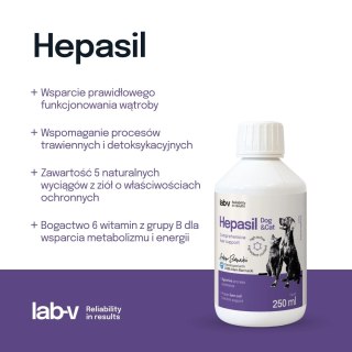 Lab-V Hepasil Dog & Cat Preparat Na Wątrobę Dla Psa I Kota 250ml