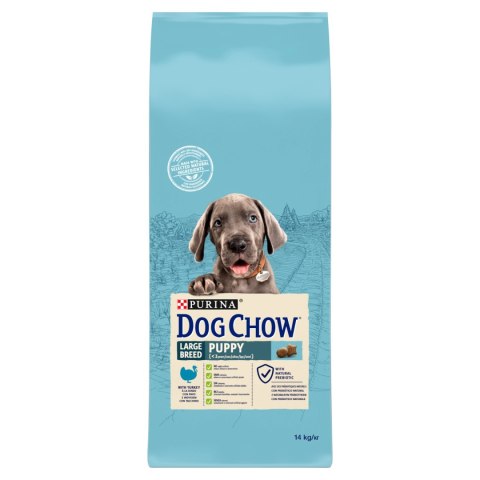 Purina Dog Chow Large Breed Puppy Z Indykiem 14kg