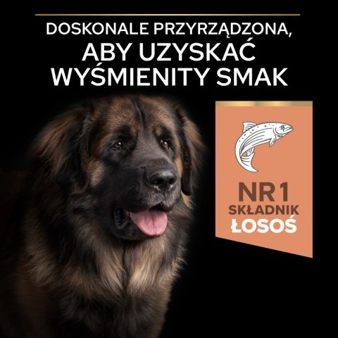 Purina Pro Plan Large Adult Robust Optiderma Łosoś Z Ryżem 14kg