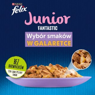 Felix Fantastic Junior W Galaretce 12x85g