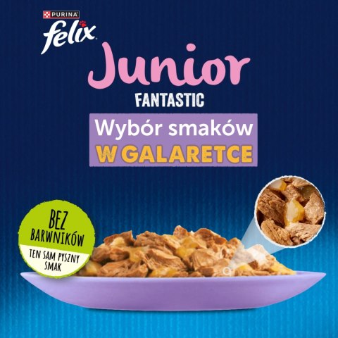 Felix Fantastic Junior W Galaretce 12x85g