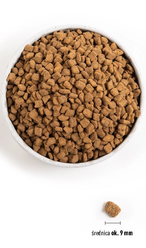 Orijen Small Breed Dog 4,5kg