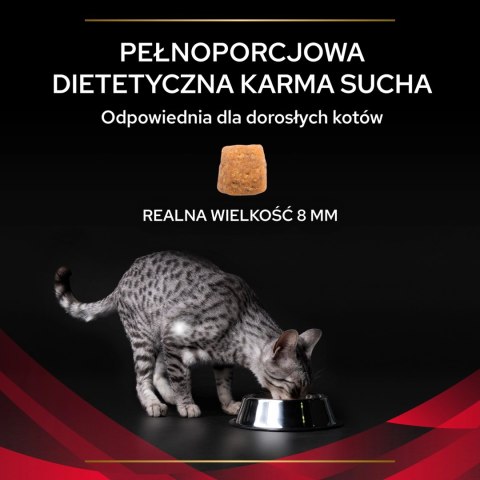 PURINA Pro Plan Veterinary Diets DM Diabetes Management Cat 1,5kg
