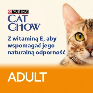 Purina Cat Chow Adult Łosoś I Zielona Fasolka 85g