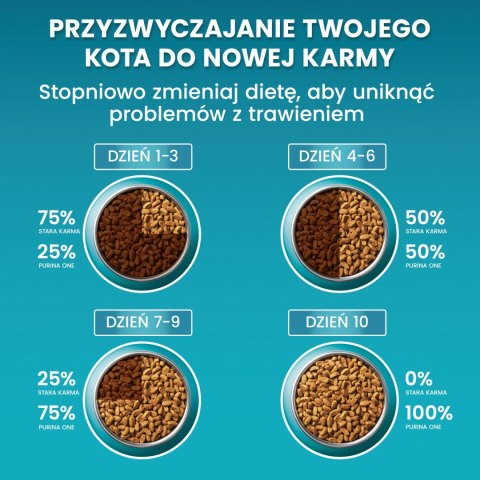 Purina One Cat Sterilcat Karma Z Wołowiną Dla Kota 800g