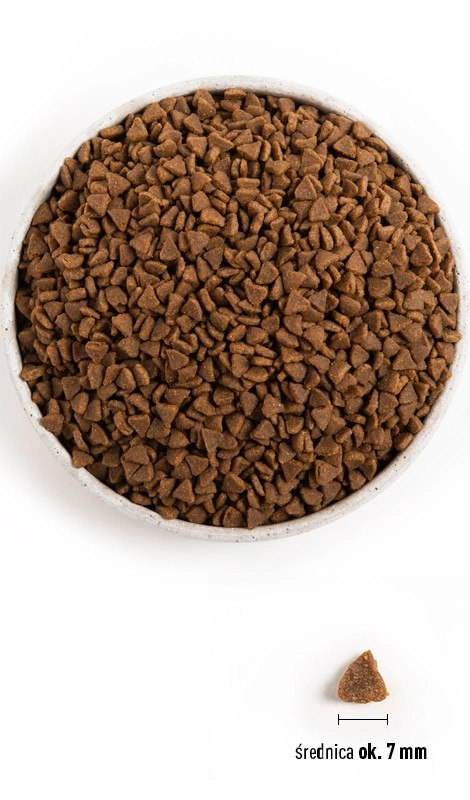 Acana First Feast Cat 340g