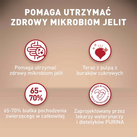 PURINA ONE Mini Adult Wołowina, ryż - sucha karma dla psa - 800g