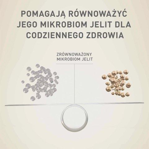PURINA ONE Mini Delicate Łosoś, ryż - sucha karma dla psa - 800 g