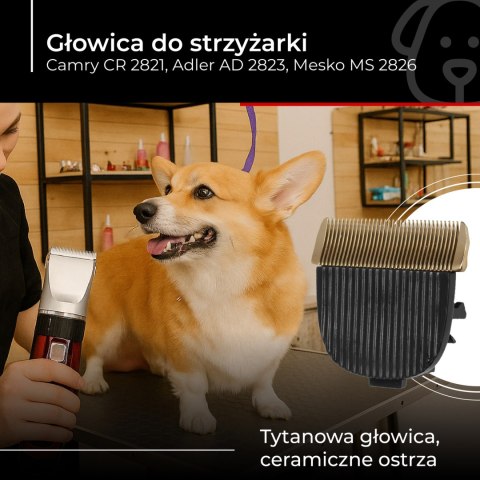 Camry Camry Głowica CR 2821.1
