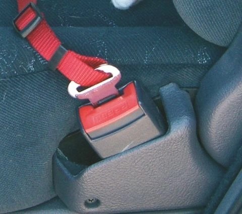 Kerbl KERBL Pas Bezpieczeństwa M Dla Psa 50-70cm