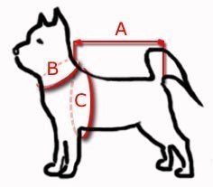 Kerbl KERBL Pas Bezpieczeństwa M Dla Psa 50-70cm