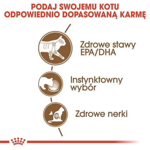 Royal Canin ROYAL CANIN Ageing +12 Gelee 12x85g