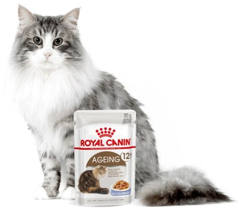 Royal Canin ROYAL CANIN Ageing +12 Gelee 12x85g