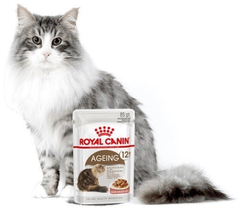 Royal Canin ROYAL CANIN Ageing +12 Sauce 12x85g