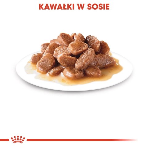 Royal Canin ROYAL CANIN Ageing +12 Sauce 12x85g