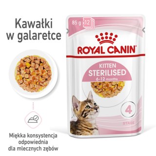 Royal Canin ROYAL CANIN Kitten Sterilised Gelee 12x85g