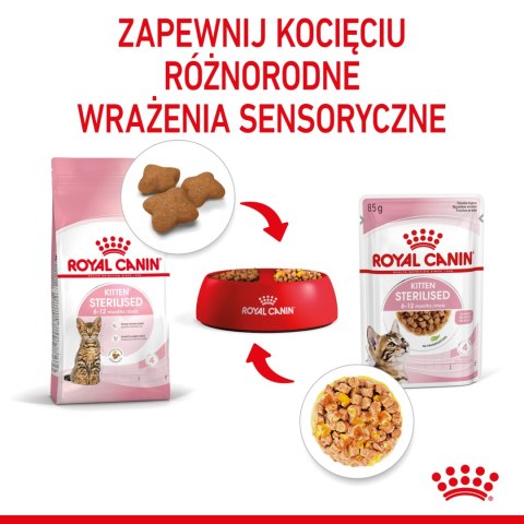 Royal Canin ROYAL CANIN Kitten Sterilised Gelee 12x85g