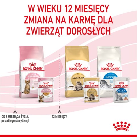 Royal Canin ROYAL CANIN Kitten Sterilised Gelee 12x85g
