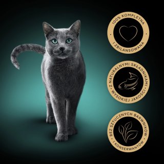 Sheba Sheba Delicacy Rybne Smaki W Galaretce, Z Łososiem, Z Białą Rybą, Z Tuńczykiem, Z Dorszem 80x85g