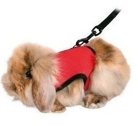 Trixie Trixie Miękkie Szelki Ze Smyczą