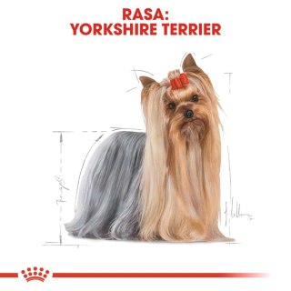 ROYAL CANIN Yorkshire Terrier Adult 3kg