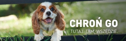 FRONTLINE Spot On Dla Psa 3x1,34ml