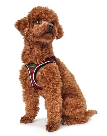 Hunter Hilo Comfort Szelki Dla Psa Czerwone Rozmiar S