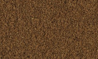 Tetra Delica Bloodworms 100ml