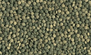 Tetra Pleco Tabletes 58 Tabletek