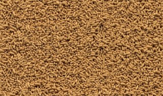 Tetra Pond Sticks 1l