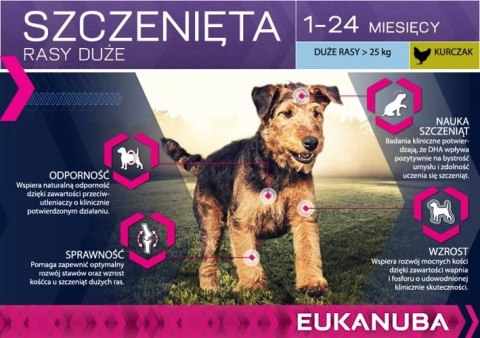 Eukanuba Puppy&Junior Large Breed 15kg