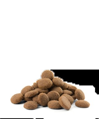 Versele-Laga Opti Life Adult Maxi Kurczak Z Ryżem 12,5kg