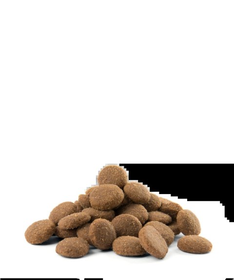 Versele-Laga Opti Life Adult Maxi Kurczak Z Ryżem 12,5kg