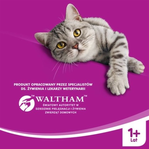 WHISKAS Karma Mokra 1+ Z Kurczakiem W Sosie 400g