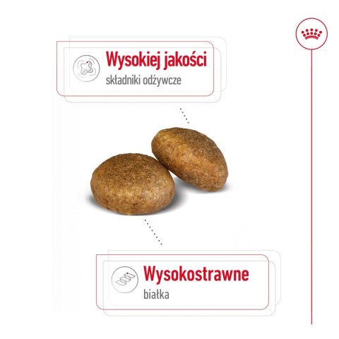 ROYAL CANIN Maxi Adult 15kg