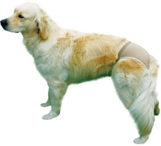 Trixie Majtki Ochronne Dla Suczki Rozmiar M