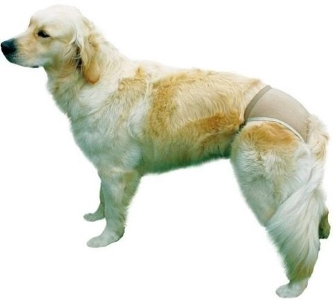 Trixie Majtki Ochronne Dla Suczki Rozmiar S-M